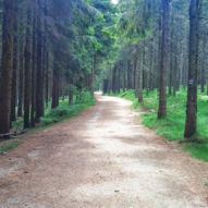 po modré na Dvoračky