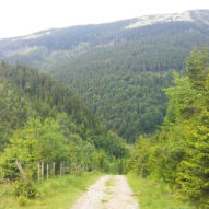 Dlouhý důl pod Kozími hřbety