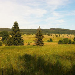 Údolí Padrťských rybníků