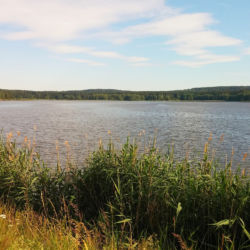 Hořejší Padrťský rybník