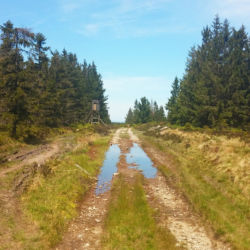 pohled z vrcholu Toku směrem na dopadovou plochu