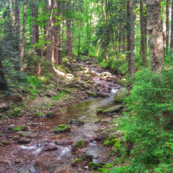 Králický Sněžník