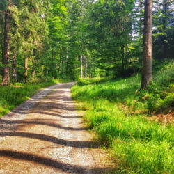 Králický Sněžník