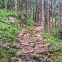 Králický Sněžník