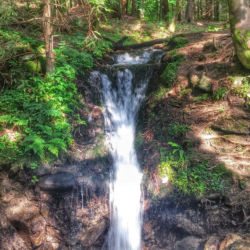 Králický Sněžník