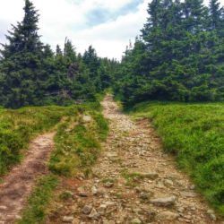 Králický Sněžník