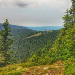 Králický Sněžník