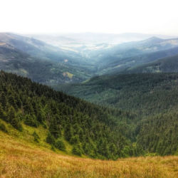 Králický Sněžník