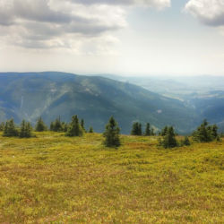 Králický Sněžník