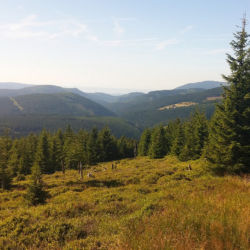 Podled do údolí Horní Malé Úpy