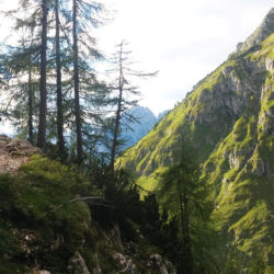 Horská cesta na Triglav