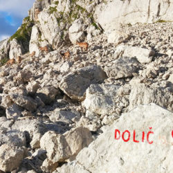 Kamzíci pod sedlem Dolič