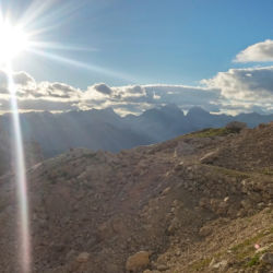 Slunící se kamzík na kameni pod sedlem Dolič