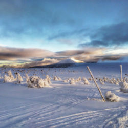 Pohled ze Štříbrného návrší na Sněžku odpoledne při návratu.