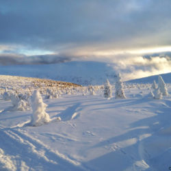 Pohled ze Stříbrného hřbetu do Údolí Bílého Labe a na Luční horu.