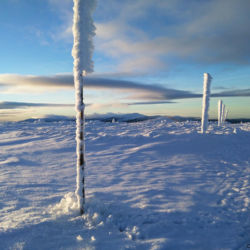 Pohled ze Stříbrného hřbetu na západní Krkonoše, v dálce nejvyšší hora západních Krkonoš Vysoké kolo (1509 m.n.m.)
